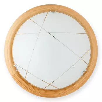 Накладной светильник TOPLIGHT TL9013Y-02PN