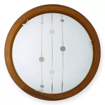 Накладной светильник TOPLIGHT TL9033Y-02OA