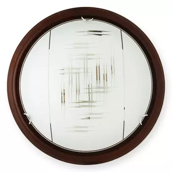 Накладной светильник TOPLIGHT TL9153Y-02PO