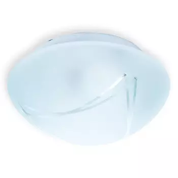 Накладной светильник TOPLIGHT TL9440Y-02WH