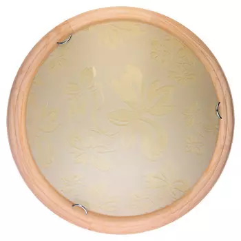 Накладной светильник TOPLIGHT TL9640Y-00PN