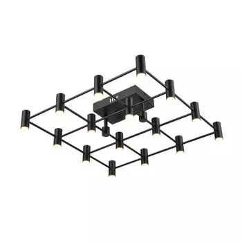 Накладной светильник Vele Luce VL7162L16