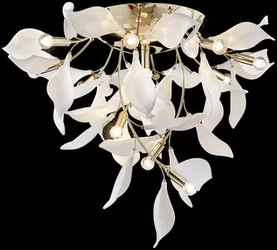 Накладной светильник WERTMARK WE123.12.307