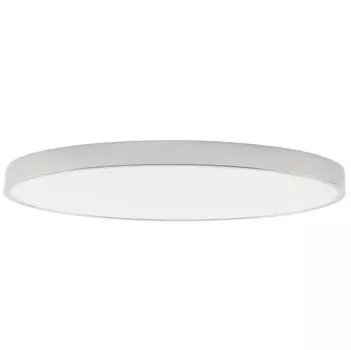 Накладной светильник Zortes ZRS.02565.120