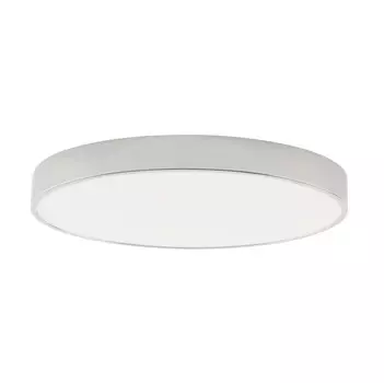 Накладной светильник Zortes ZRS.02565.72