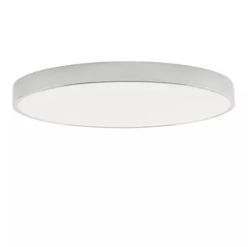 Накладной светильник Zortes ZRS.02565.96