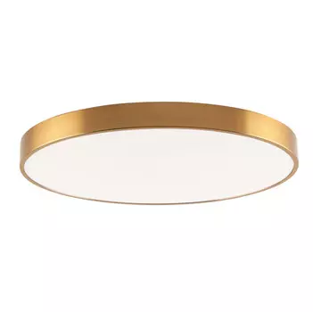 Накладной светильник Zortes ZRS.02566.96