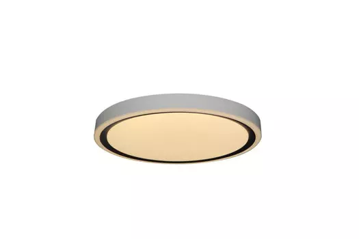 Накладной светильник Zortes ZRS.1201.04