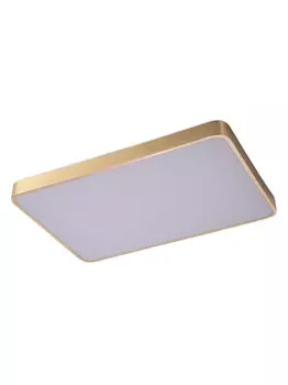 Накладной светильник Zortes ZRS.1209.09