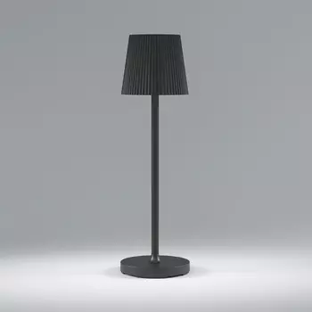 Настольная лампа Elektrostandard Mist черный (TL70220)