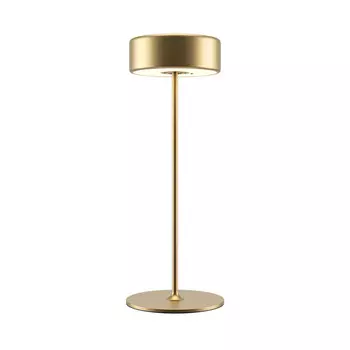 Настольная лампа Maytoni MOD229TL-L3G3K2