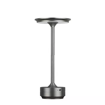 Настольная лампа Odeon Light 5035/6TL