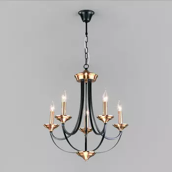 Подвесная люстра Eurosvet 60098/5 черный