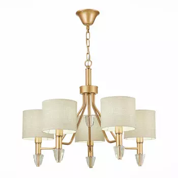 Подвесная люстра Evoluce SLE107003-05