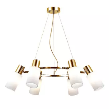 Подвесная люстра Evoluce SLE1139-303-06