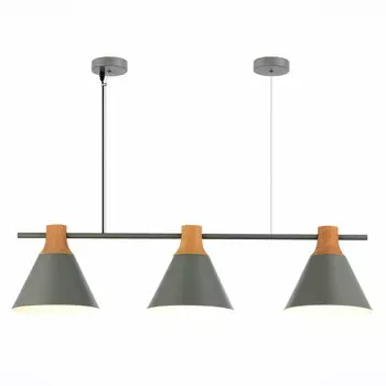 Подвесная люстра Evoluce SLE125113-03