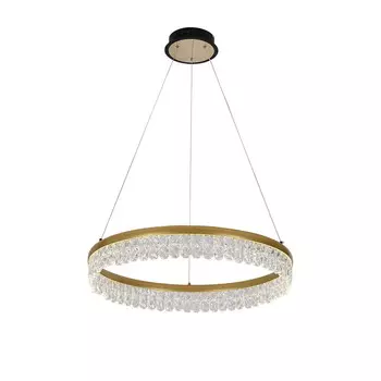 Подвесная люстра F-Promo 4186-1P