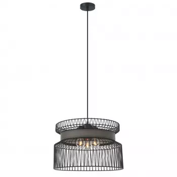 Подвесная люстра Favourite 2363-2P