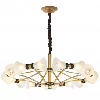 Подвесная люстра Favourite 2549-16P