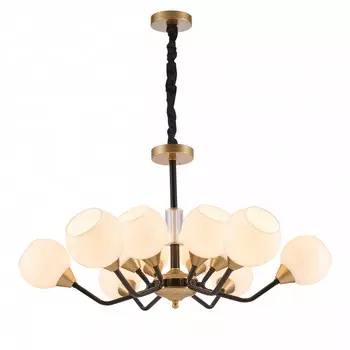 Подвесная люстра Favourite 2550-12P