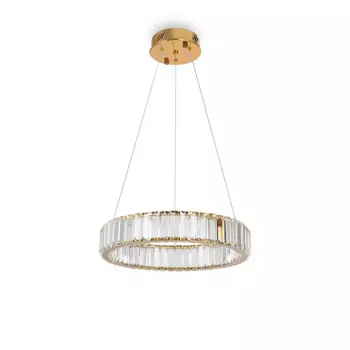 Подвесная люстра Freya FR5257PL-L17G