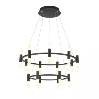 Подвесная люстра ST-Luce SL1595.403.30