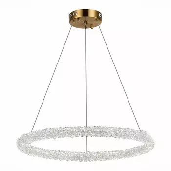 Подвесная люстра ST-Luce SL6110.213.01