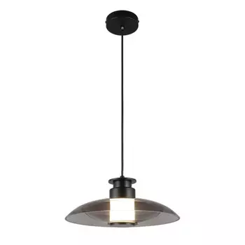 Подвесной светильник APLOYT APL.648.06.10