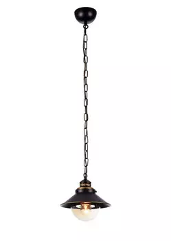 Подвесной светильник ARTE Lamp A4577SP-1CK