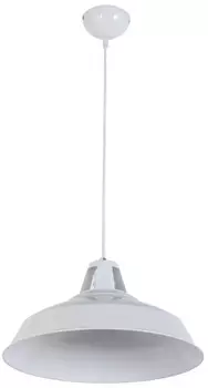 Подвесной светильник Arti Lampadari Faustino E 1.3.P1 W