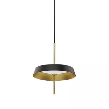 Подвесной светильник DeLight Collection MD18001061-1A black/gold