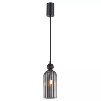 Подвесной светильник F-Promo 4366-1P