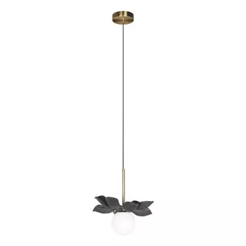 Подвесной светильник LOFT IT 10213/B Black