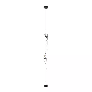 Подвесной светильник LOFT IT 10346/2 Black