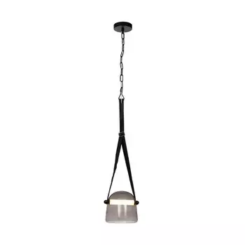 Подвесной светильник LOFT IT 1608P-BL