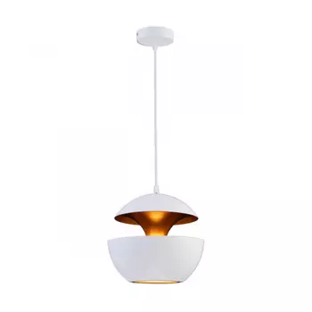 Подвесной светильник LOFT IT LOFT2213-A