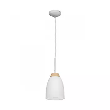 Подвесной светильник LOFT IT LOFT4402A-WH