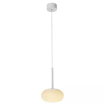 Подвесной светильник LOFT LSP-8349