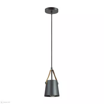 Подвесной светильник LUMION 3641/1