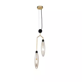 Подвесной светильник Maytoni MOD012PL-02G