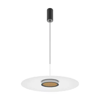 Подвесной светильник Maytoni MOD041PL-L15W3K1