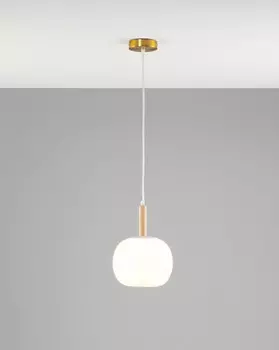 Подвесной светильник Moderli V10290-PL