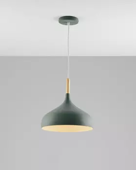 Подвесной светильник Moderli V1296-1P