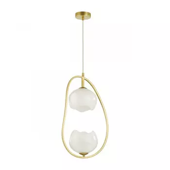 Подвесной светильник Odeon Light 4873/2