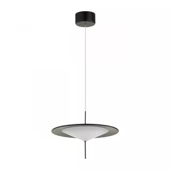 Подвесной светильник Odeon Light 5012/16L