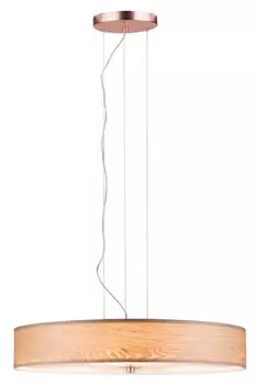 Подвесной светильник Paulmann 79649