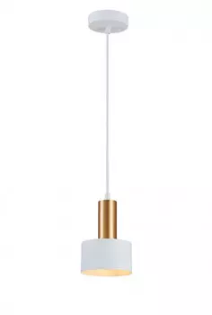 Подвесной светильник Simple Story 1069-1PL