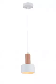 Подвесной светильник Simple Story 1070-1PL