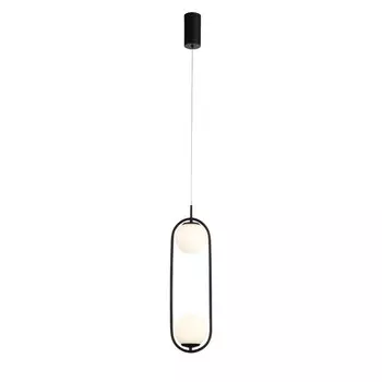 Подвесной светильник ST-Luce SL395.403.02