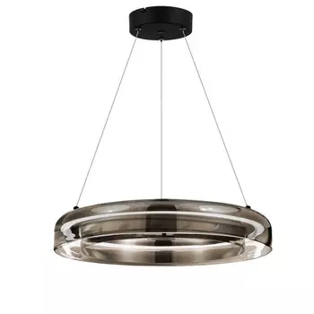 Подвесной светильник ST-Luce SL6019.333.01